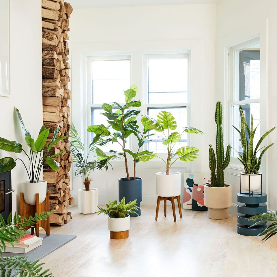 Faux Potted Fiddle Leaf Fig Plant 7' West Elm UK